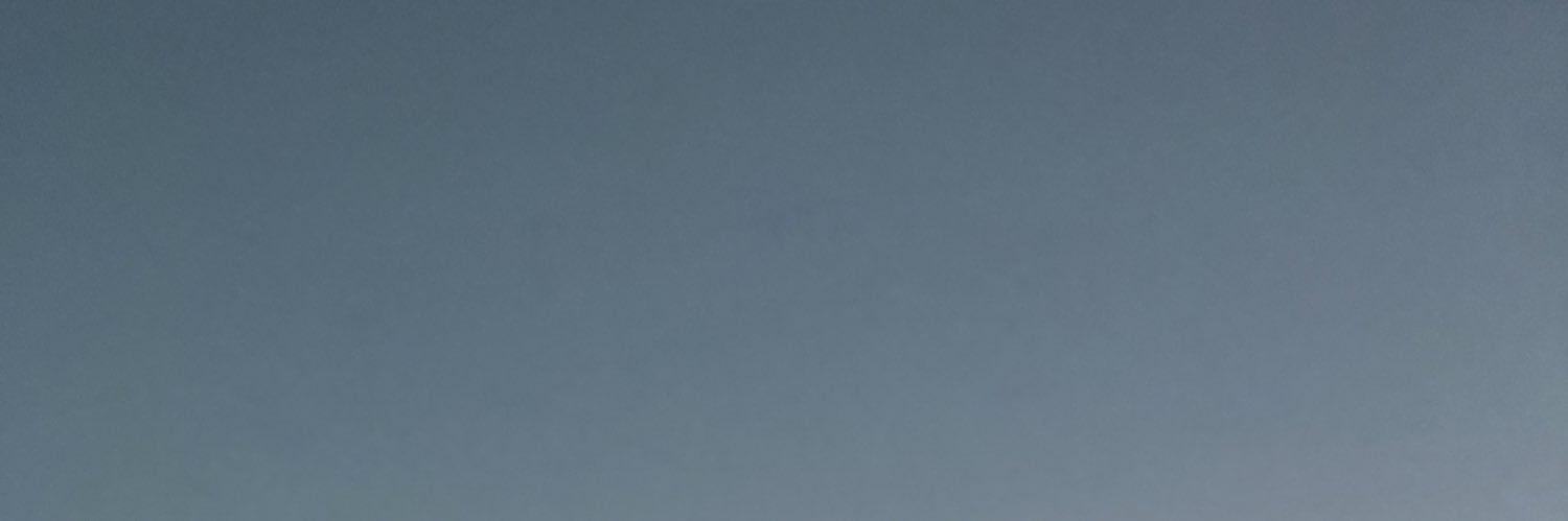 Nichaela Shaheen banner