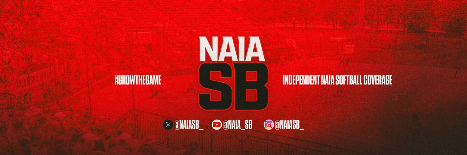 NAIA SB's banner