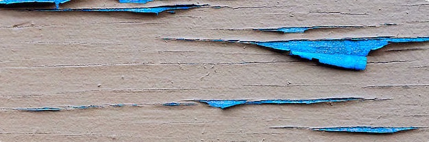 frogmoor's profile banner image