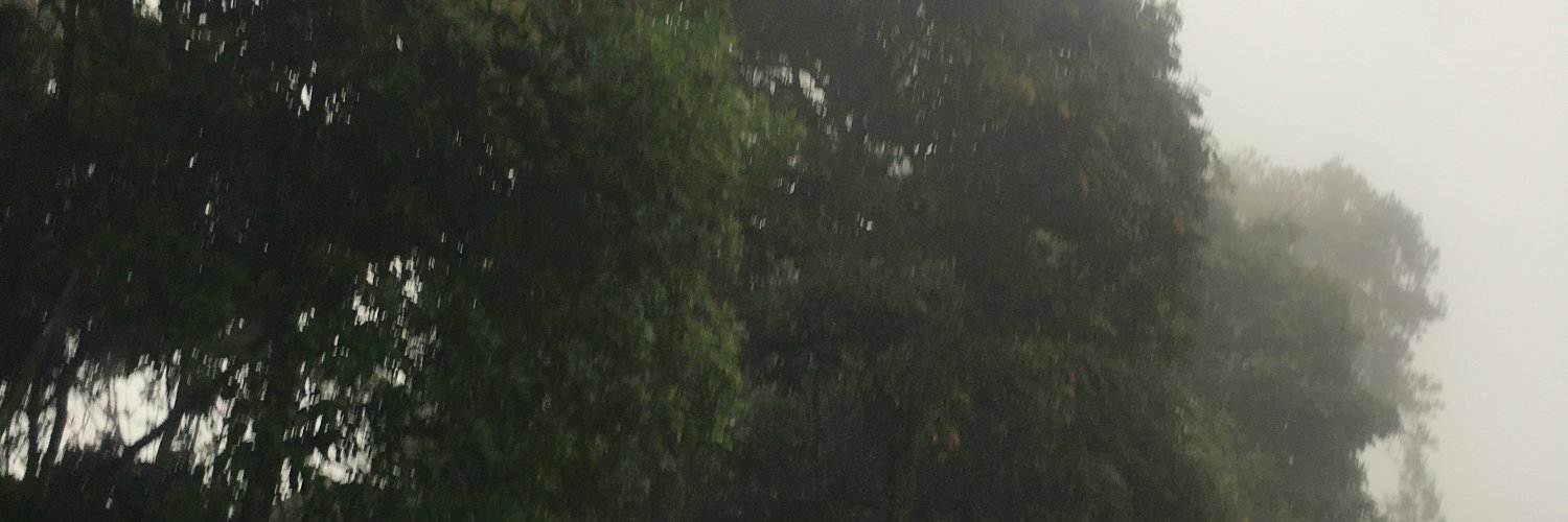 Twitter banner for @GedeBerly