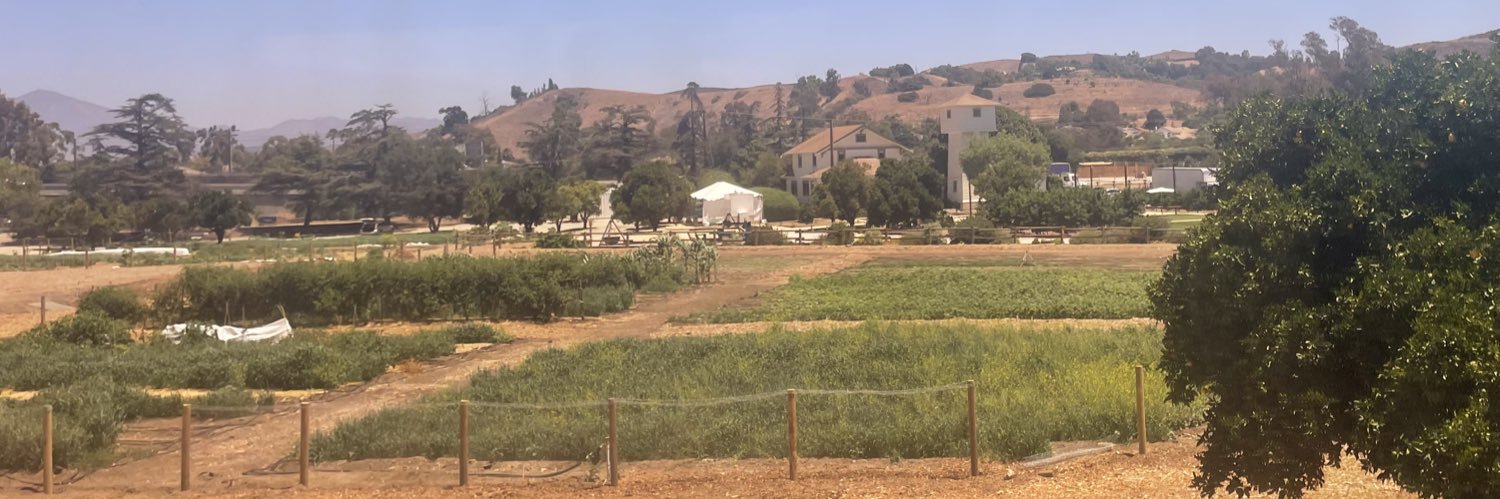 Beachchud90210 banner