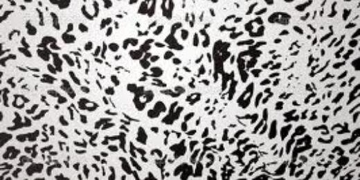 FesaywaS1's profile banner image