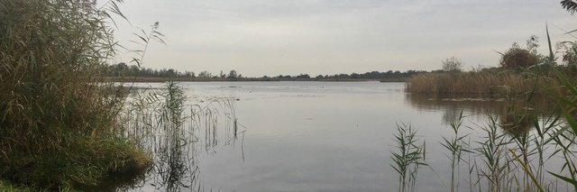 MaaikeVerbree's profile banner image