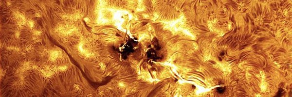 taswegian Profile Banner