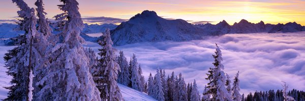 FierceFin Profile Banner