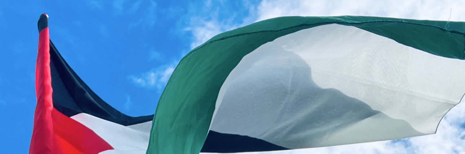 stefaniabecheru's profile banner image