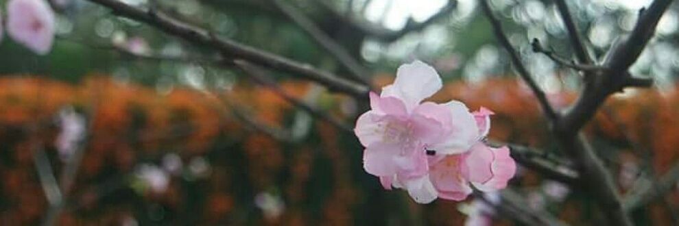 Hwang2307's profile banner image