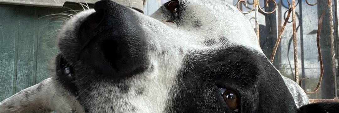 linecookwarrior's profile banner image