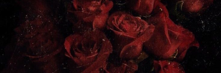 dalgihwa's profile banner image
