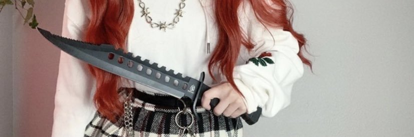 evillfest's profile banner image