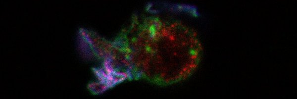 mmellado_lab Profile Banner