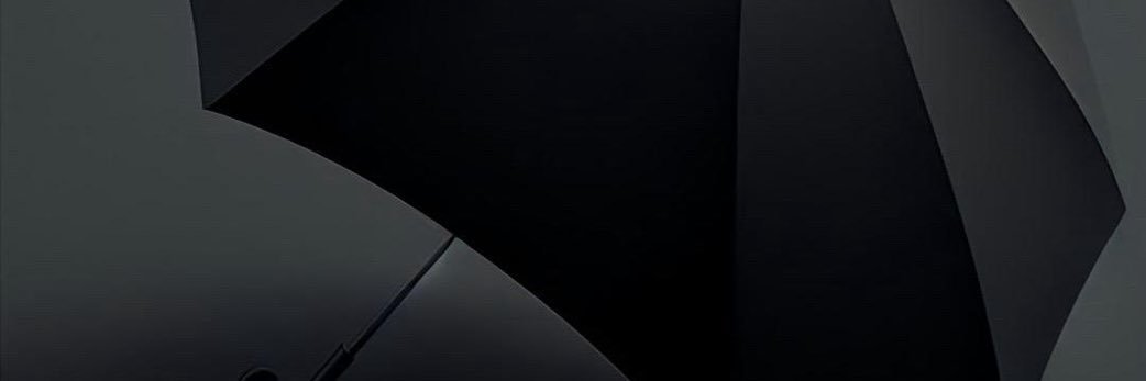 Ns Drax banner