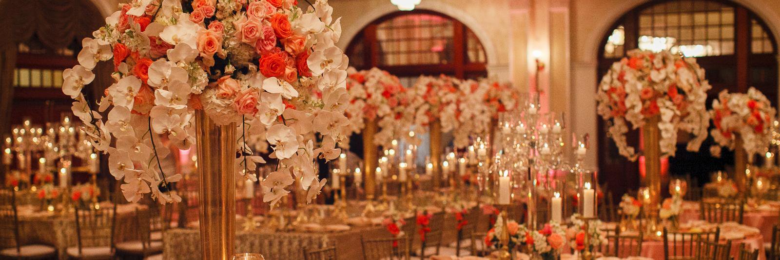 Serendipity Photo banner