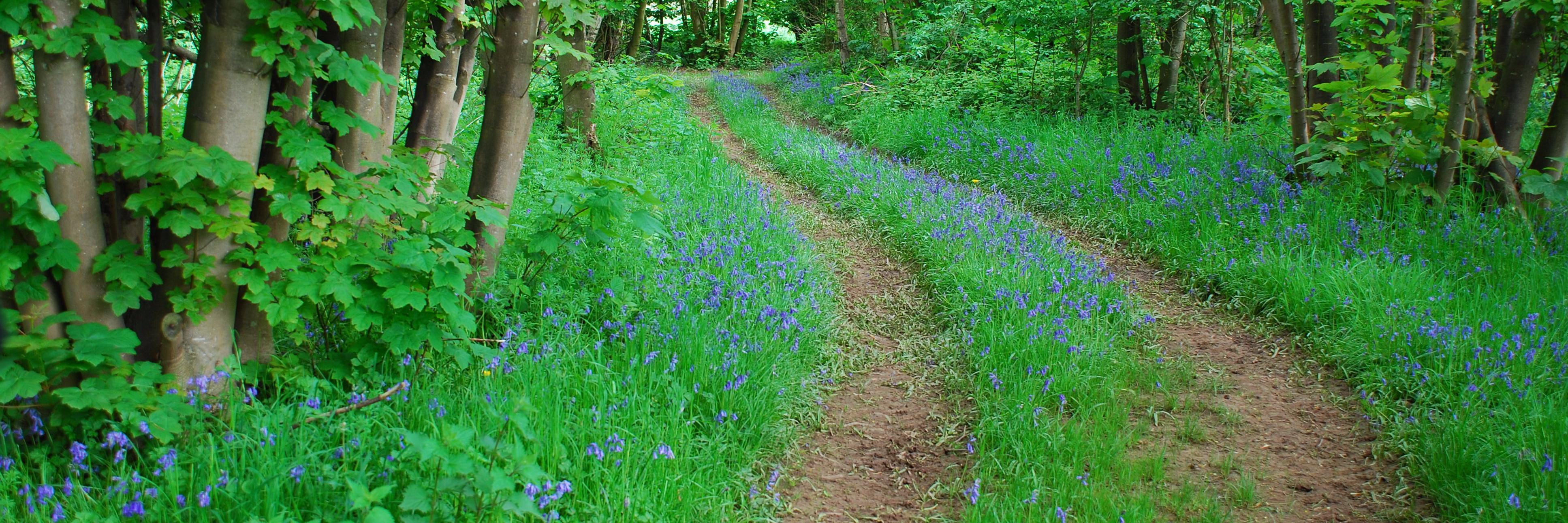 Ryton Farm Holidays (@RytonFarm) / Posts / X