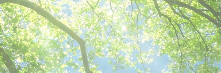 YmpnWg's profile banner image