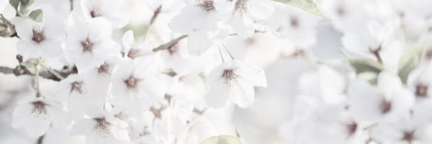 wilda aka ᴹᵃⁿᵃ banner
