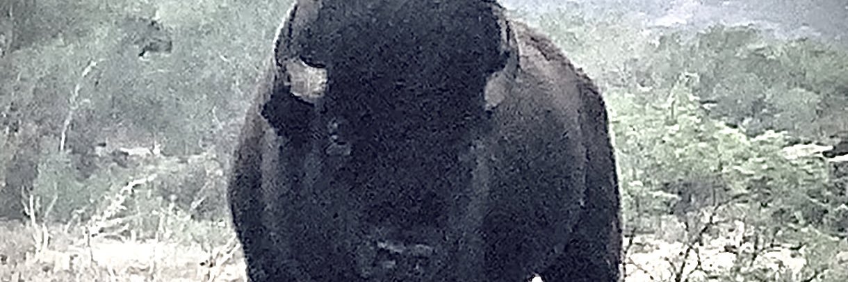 jbwhite's profile banner image