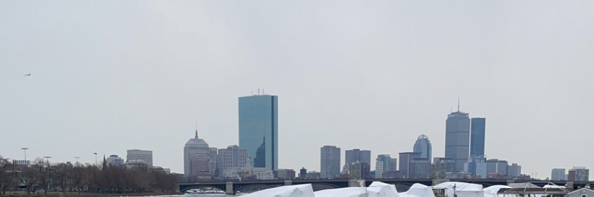 Mohsin Qureshi banner