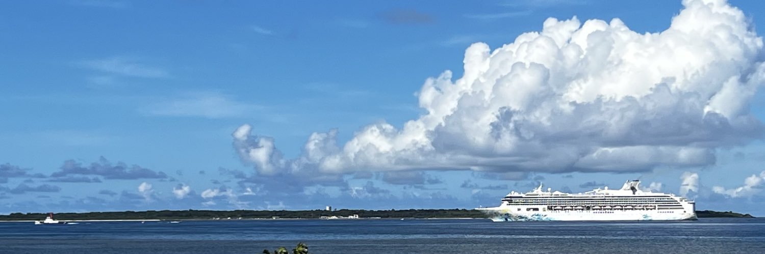 𝐀𝐑𝐀𝐒𝐇𝐢 🏝️🌺 banner