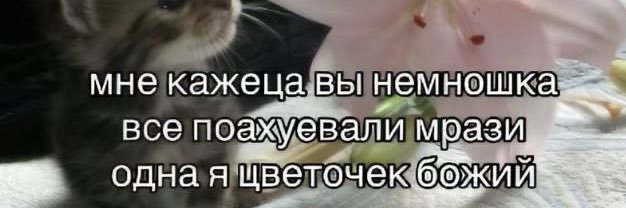 холодно в аду моральных устоев's banner