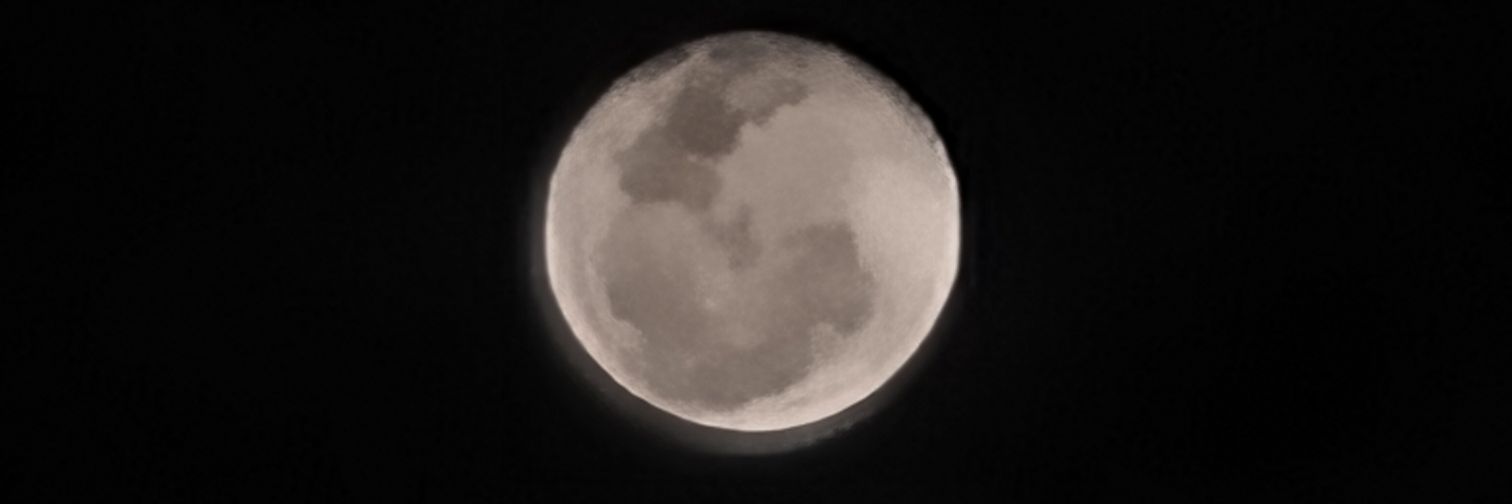 AnimalsBoy's profile banner image