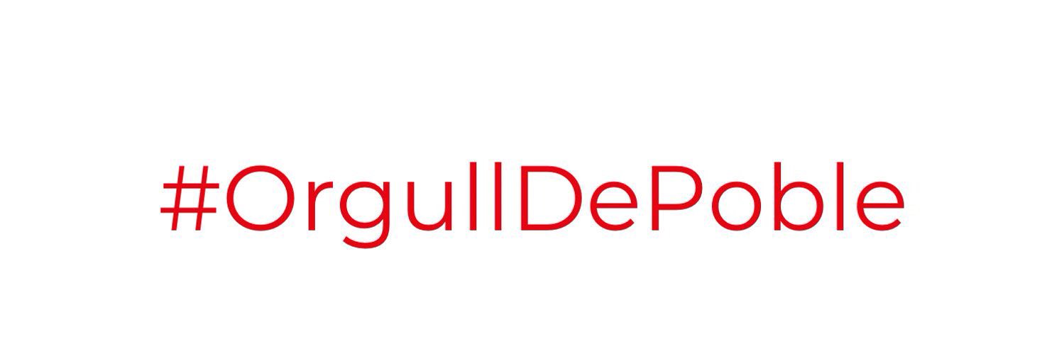 PSIB-PSOE Manacor banner