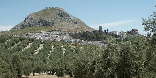 capimartos's profile banner image