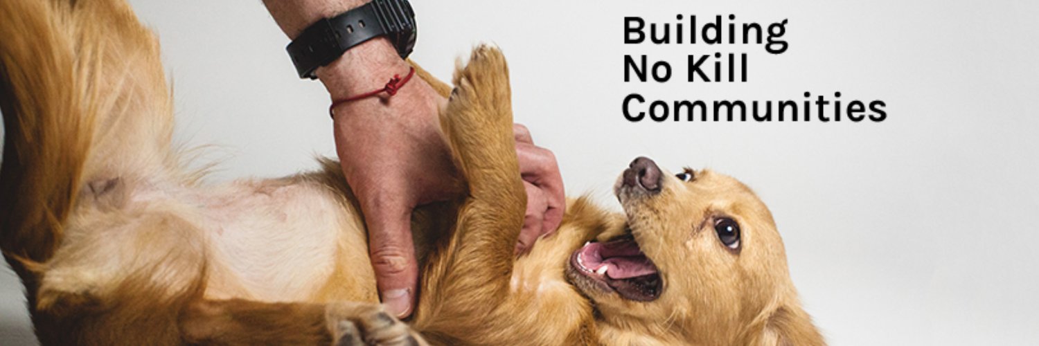 PAWSChicago's banner