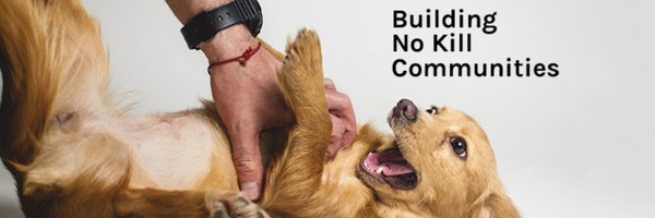 PAWSChicago Profile Banner