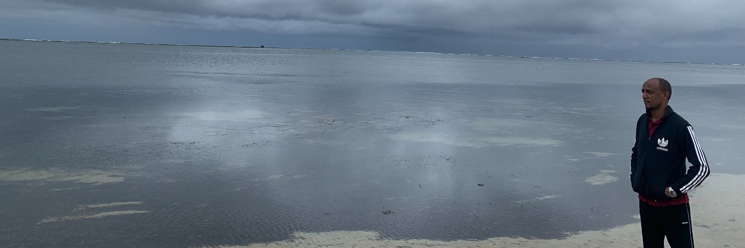 addis_elf's profile banner image