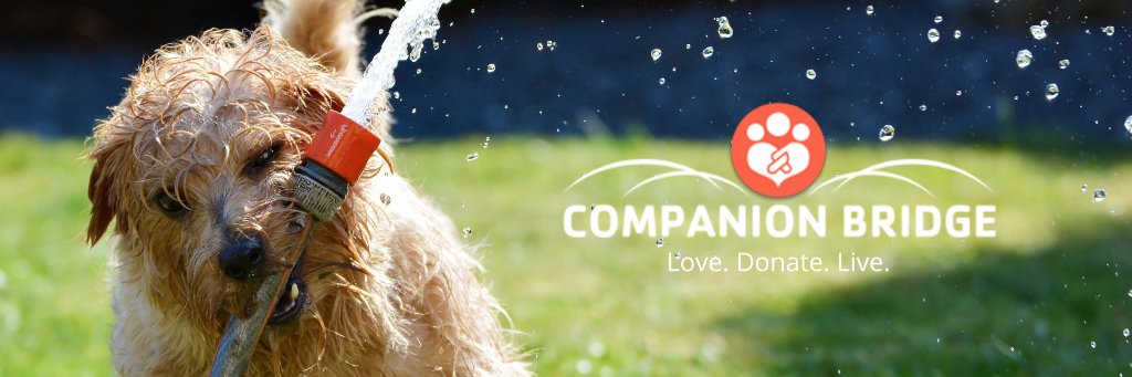 CompanionBridge's profile banner image