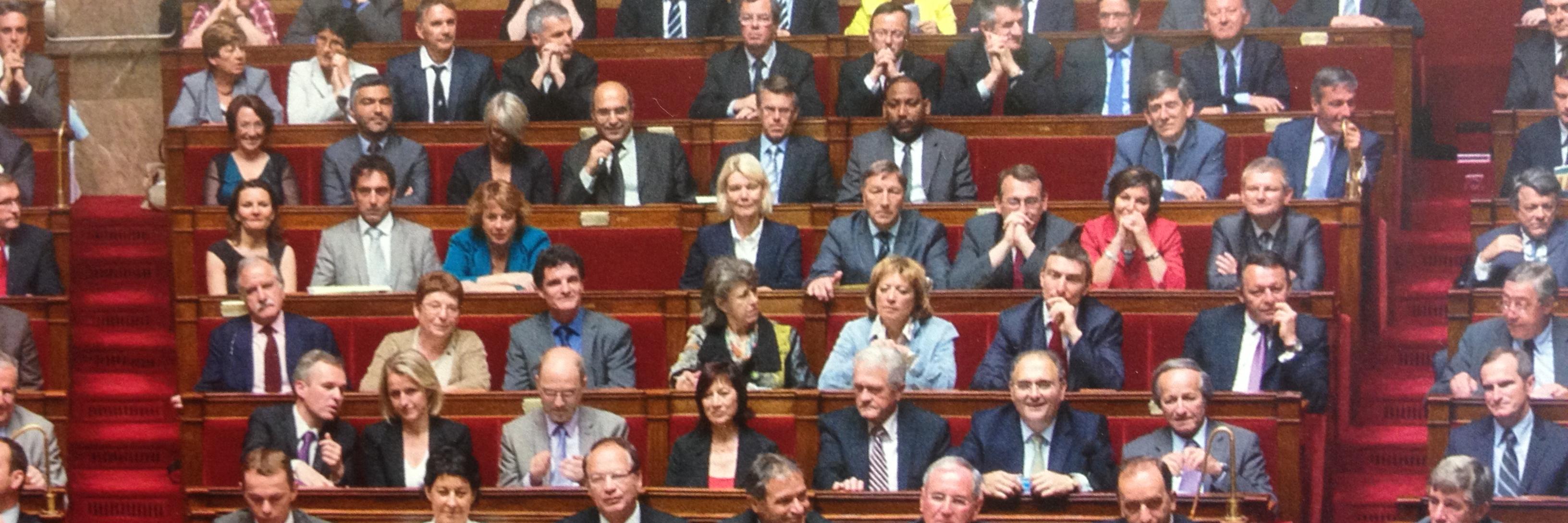 Dominique Orliac banner