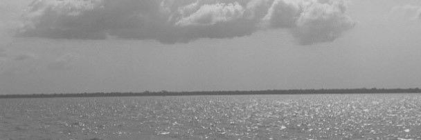 ً banner