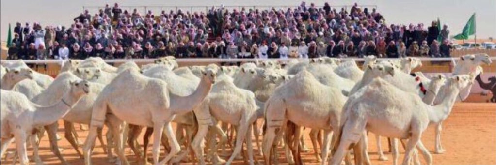 ابونواف banner