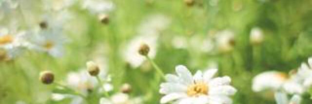 6953H's profile banner image
