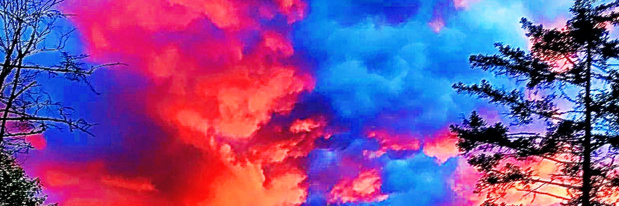 zachkiesecker16's profile banner image