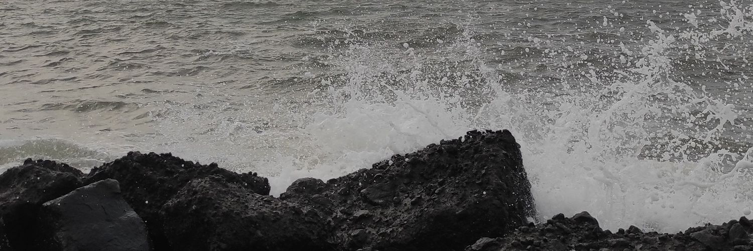 haayoloo_'s profile banner image