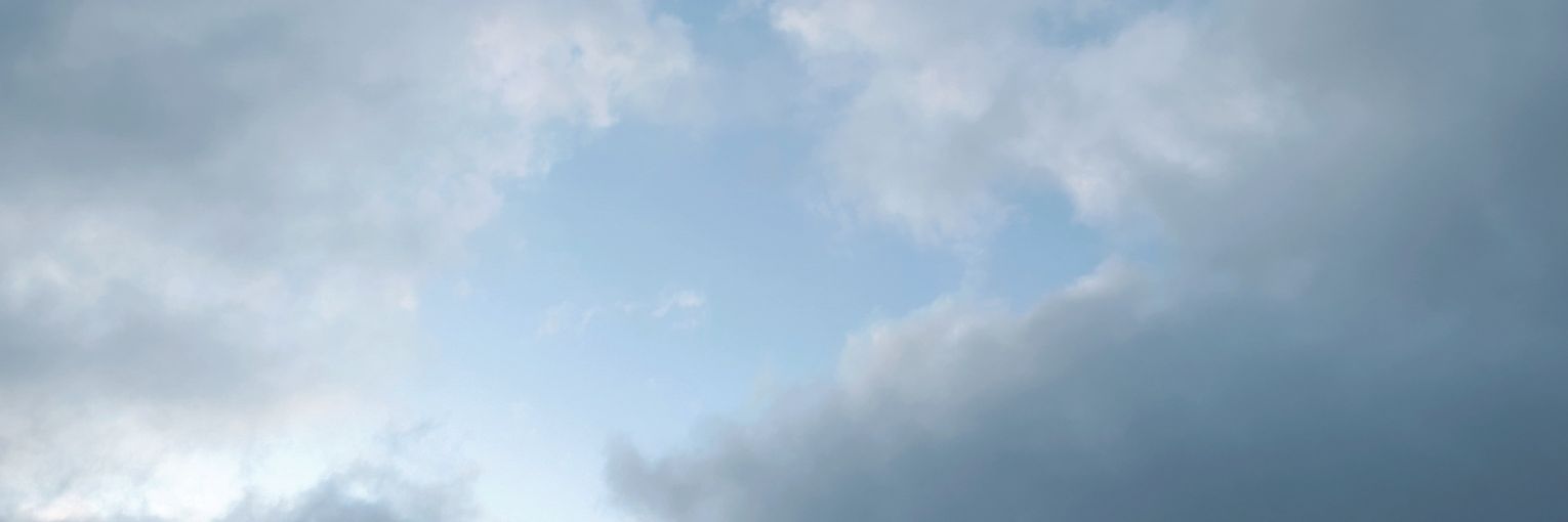 twintailbraids's profile banner image