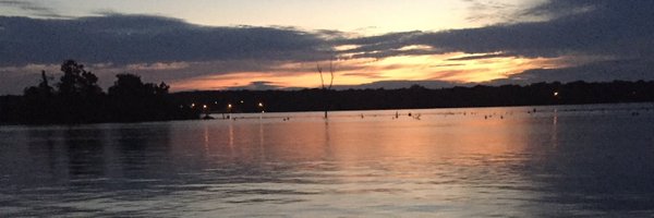 PaulaRed62 Profile Banner