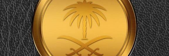 aaliksa's profile banner image