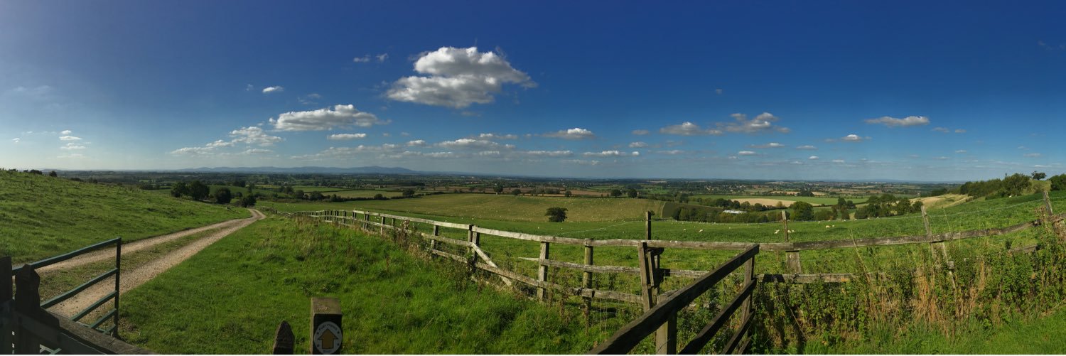 Louise Carter banner