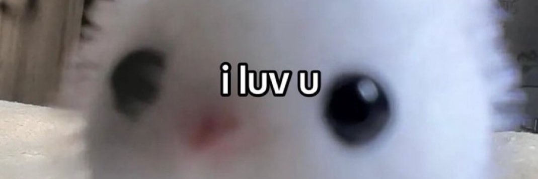 lofi 🐝 banner