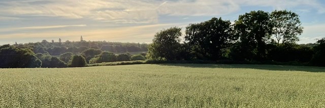 Miss Masha Maths banner