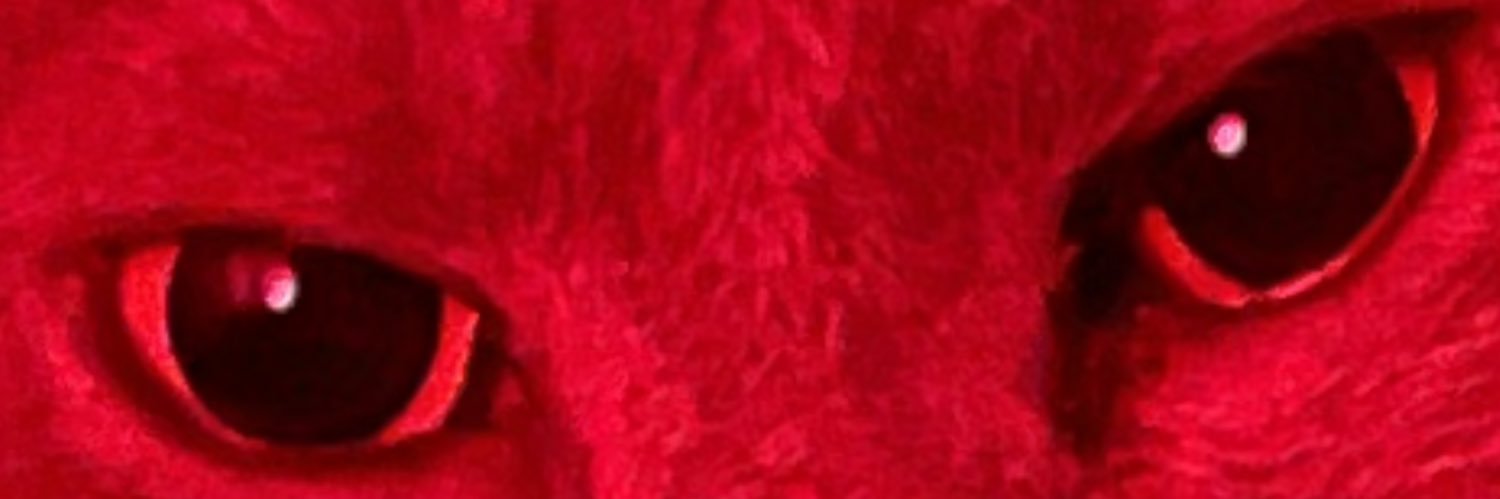 Jon banner