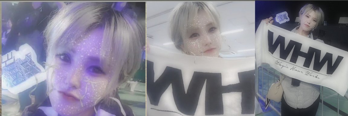 セイコ(カエデ)🎲ハヤタン大好き過ぎる♡ banner
