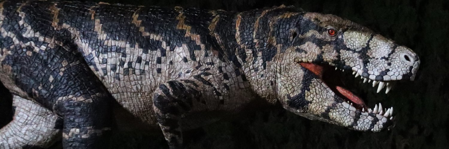 Salvatore Rabito Alcón banner