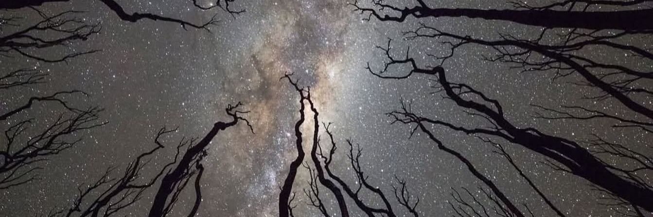 LunaTempestade's profile banner image