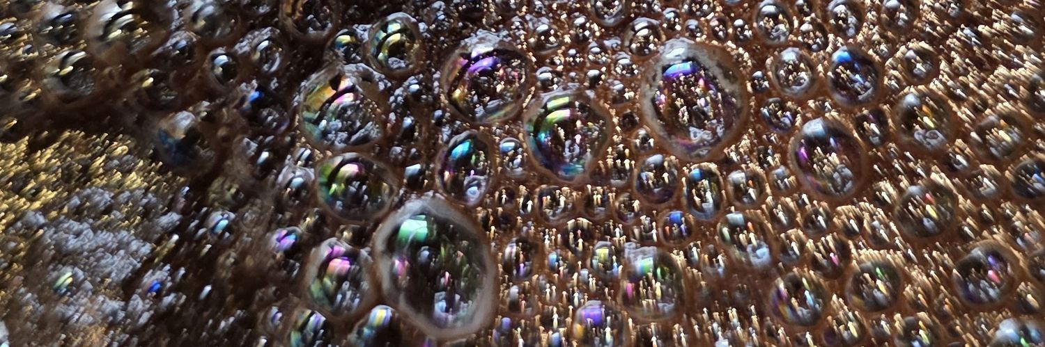 Sentient Salamander banner