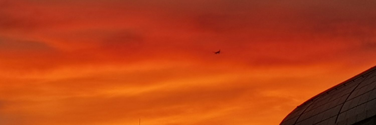 xiaozhile3's profile banner image