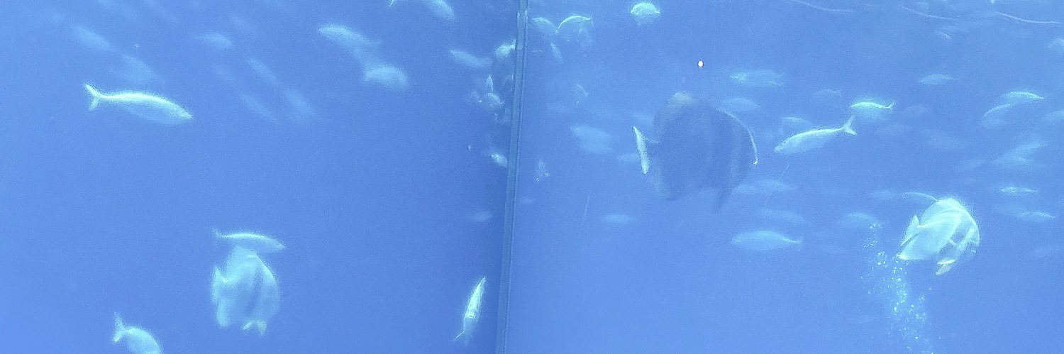 みかちゃん。 banner